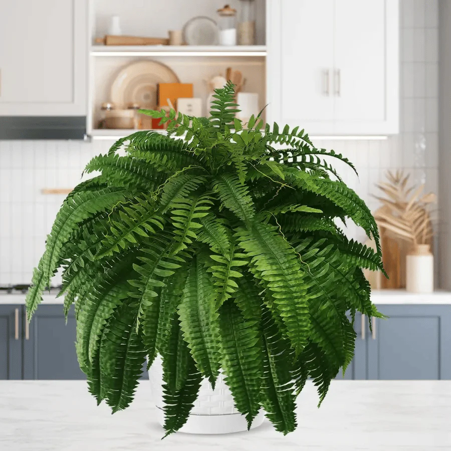 💖Letzter Tag: 75 % Rabatt!🔥 – UV-beständiger, naturgetreuer künstlicher Bostonfarn - Image 10